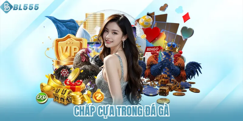 Chấp cựa trong đá gà